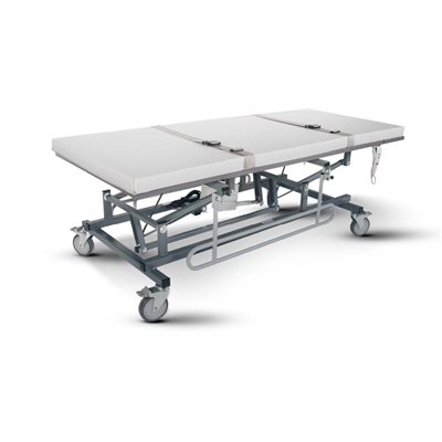 TABLE A LANGER / D'EXAMEN ENFANT-ADULTE / REGLABLE / 28"x62"